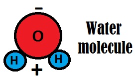 wtare molecule